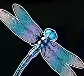 Dragonfly symbol