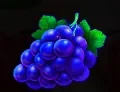 Grapes symbol